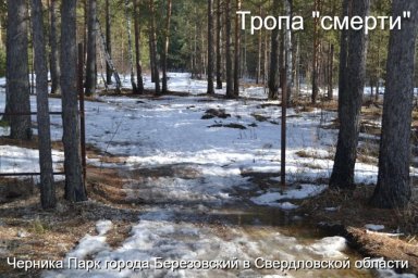 Наркомания в Березовском: крик о помощи из Черника Парка, власти глухи к беде