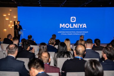 Многофункциональная платформа Молния станет цифровым мостом для стран БРИКС в 2026 году